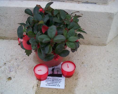 souvenir