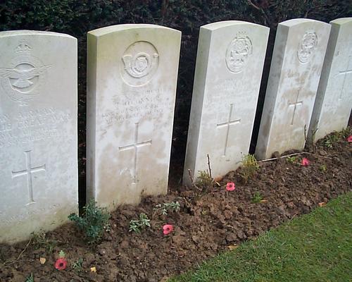 les coquelicots