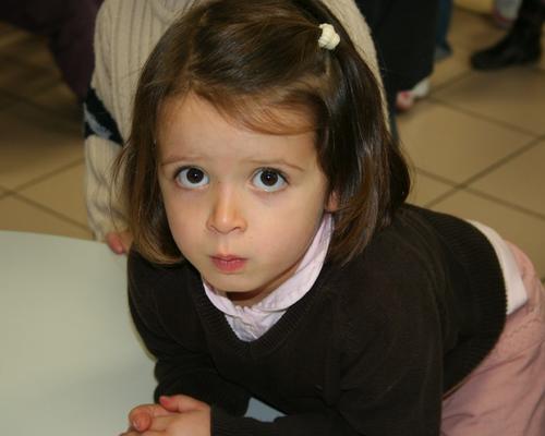 12 ET 13 NOVEMBRE 261