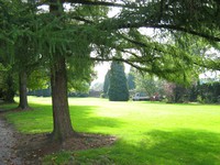 Le parc de la maison...