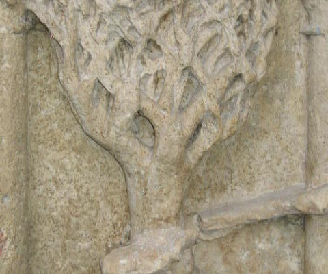 l'arbre mort