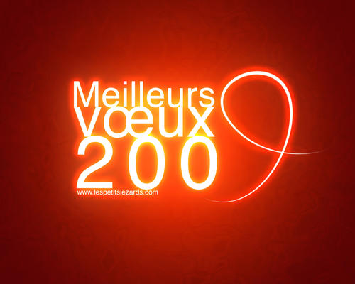 Meilleurs Voeux 2009