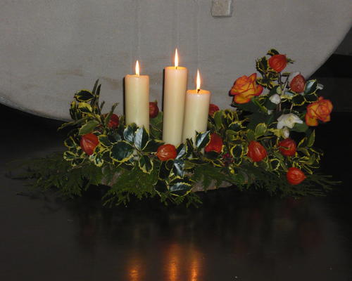 VoeuxBrume (4)