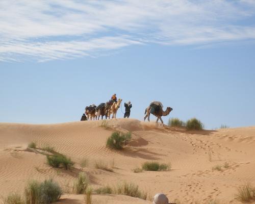 <i> Voyage d'immersion en Syrie et en Jordanie </i>
