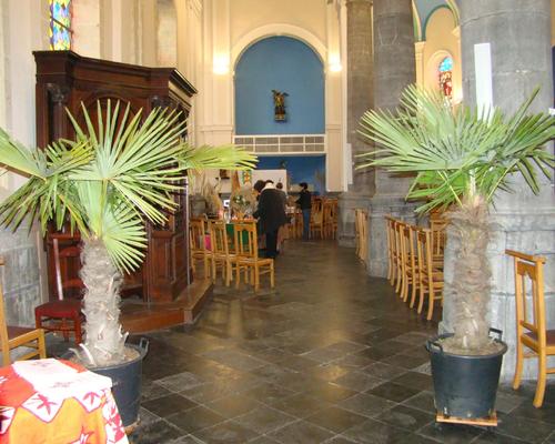 DSC00939