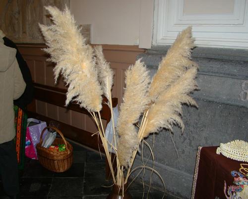 DSC00941