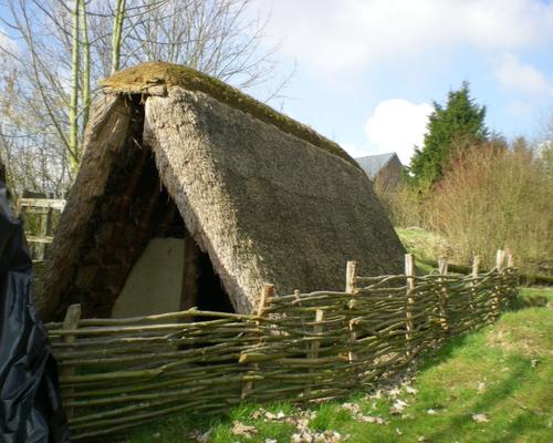 reconstitution d'un habitat