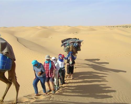 54 Caravanne 3