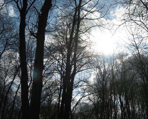 Marche et priere