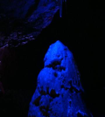 DSC00276