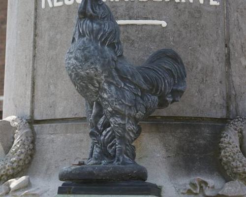 coq