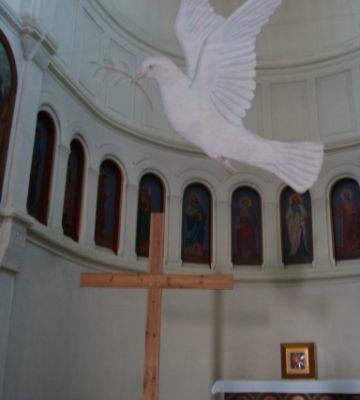 DSC00565