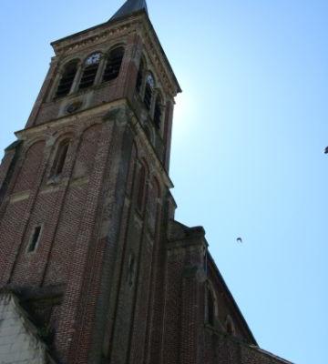 DSC00550