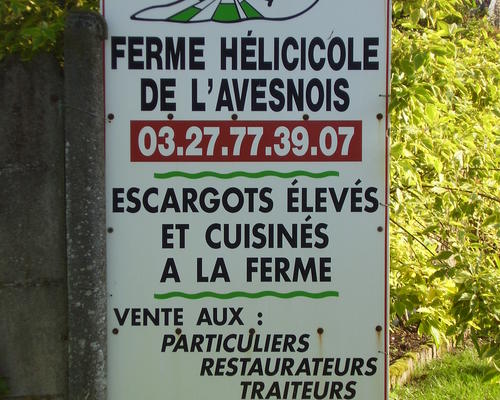 élevage d'escargots