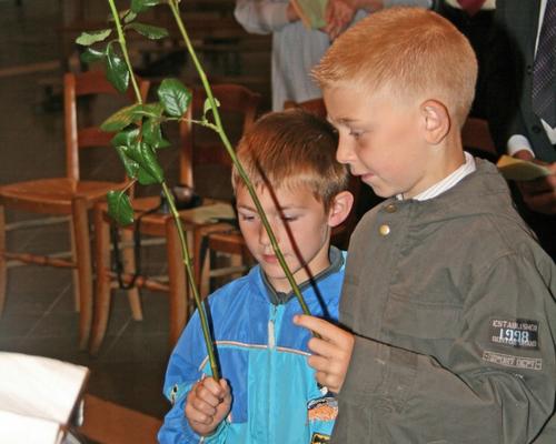 118 IMG_4232