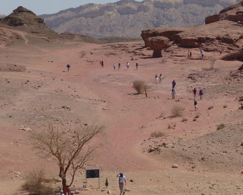 2009 07 - Sinai-Terre Sainte 254