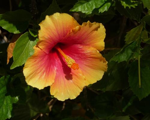 2009 07 - Sinai-Terre Sainte 378