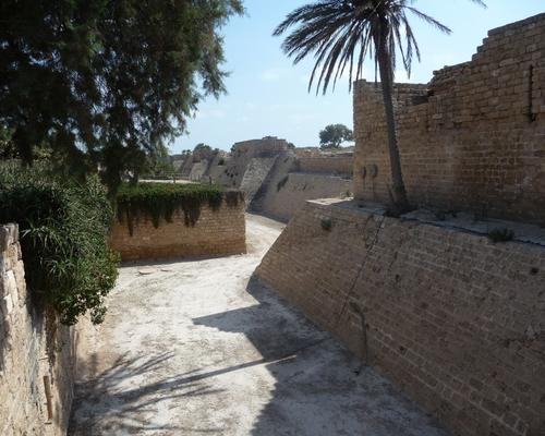 2009 07 - Sinai-Terre Sainte 497