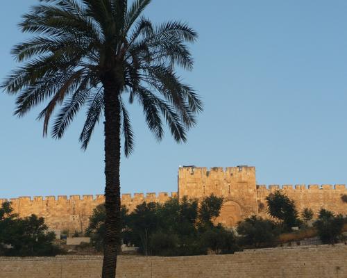 2009 07 - Sinai-Terre Sainte 575
