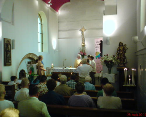 ST-BERNARD (10)