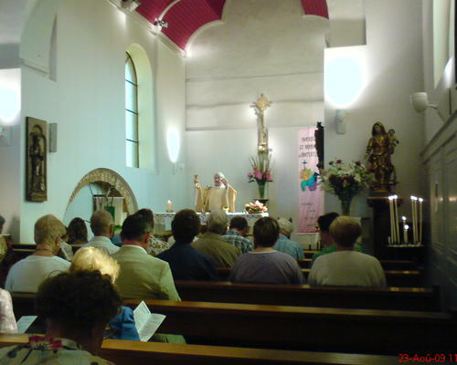 ST-BERNARD (11)