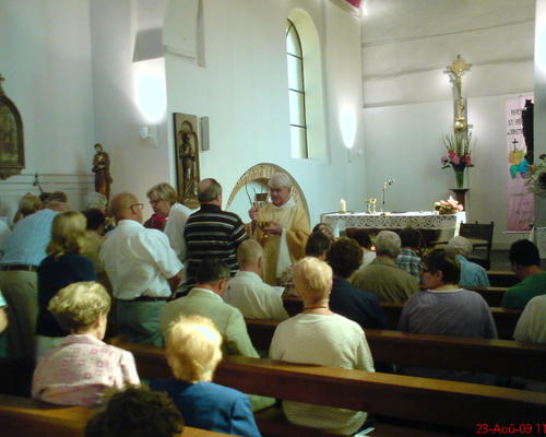 ST-BERNARD (12)