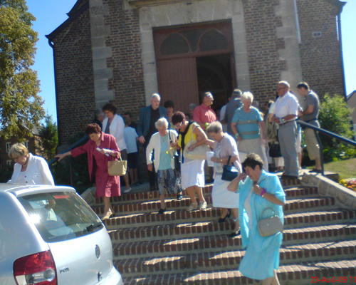 ST-BERNARD (13)