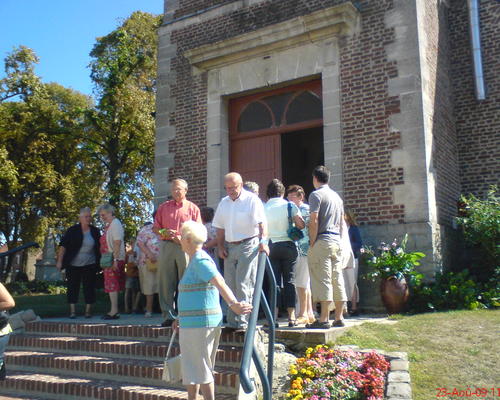 ST-BERNARD (14)