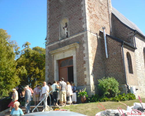 ST-BERNARD (15)