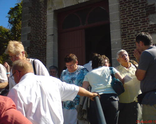 ST-BERNARD (16)