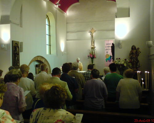 ST-BERNARD (2)