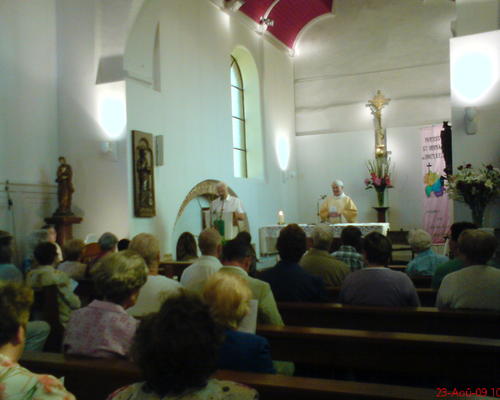 ST-BERNARD (3)