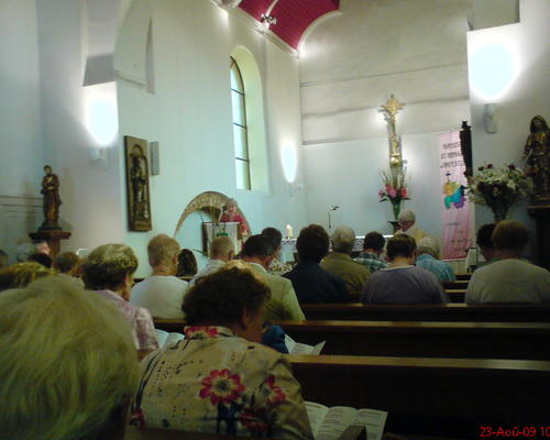 ST-BERNARD (4)