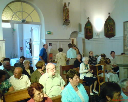 ST-BERNARD (5)