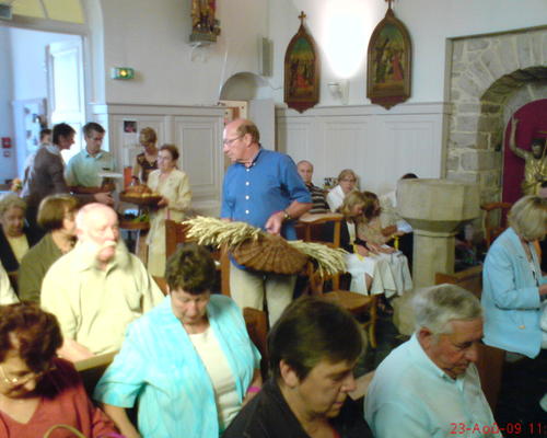 ST-BERNARD (6)