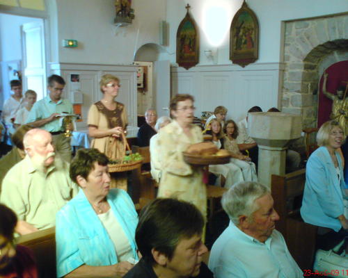ST-BERNARD (7)