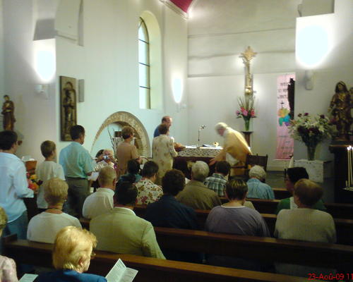 ST-BERNARD (9)