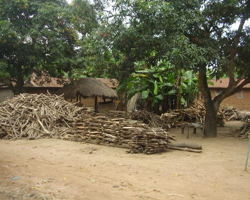 vente de bois