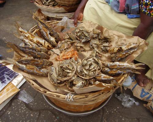 Poissons séchés
