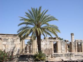 Capharnaum_10_synagogue
