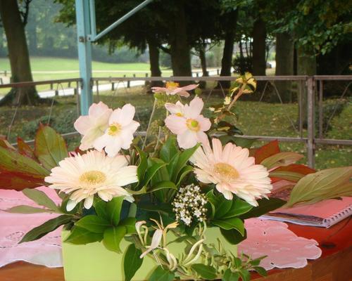 Messerentree 20 09 09 016