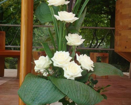 Messerentree 20 09 09 017