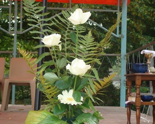 Messerentree 20 09 09 015