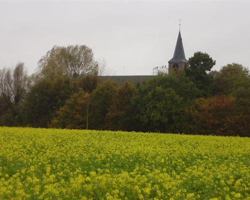 en vue