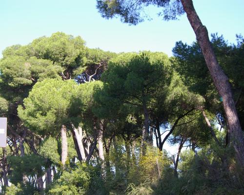 sur la voie