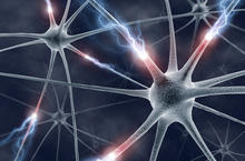 © ktsdesign - fotolia.com Neurons