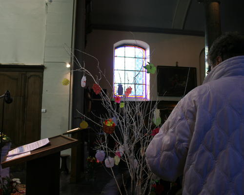 IMG_8511