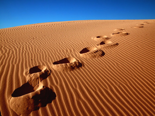 footprints going over the sand.