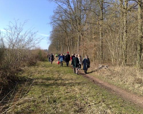 marche a Bruille St Amand (10)