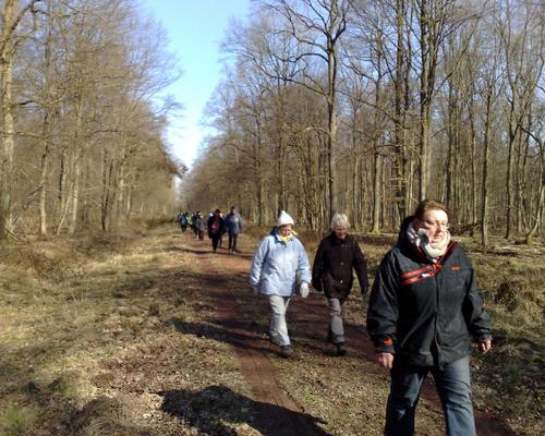 marche a Bruille St Amand (3)